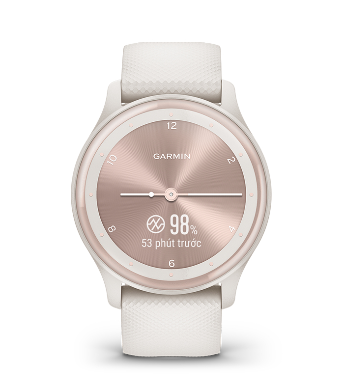 Đồng hồ Garmin Vivomove Sport