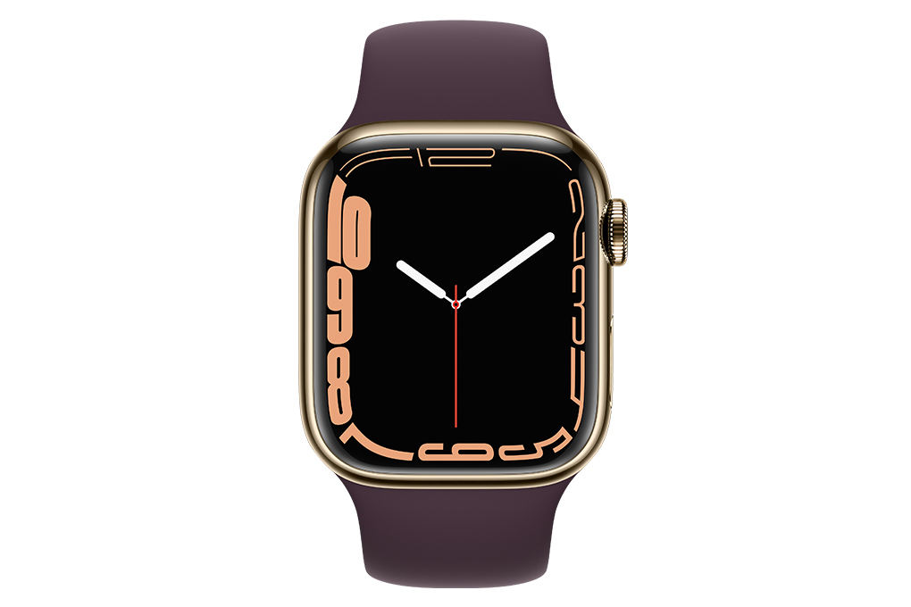 Apple Watch Series 7 - GPS + Cellular, 45mm - Vỏ Thép Dây Cao Su