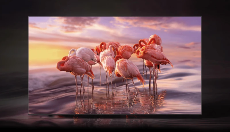 Màn hình 4K sắc nét. Màn hình 4K sắc nét.