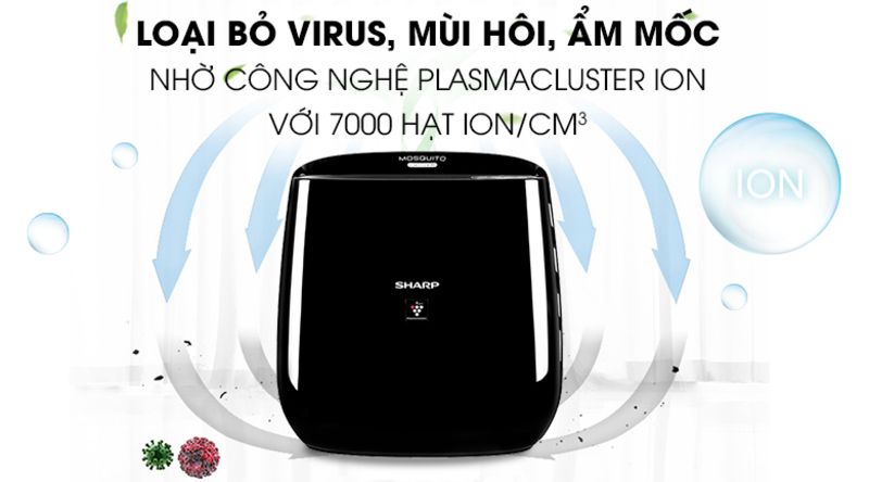 Plasmacluster ion.