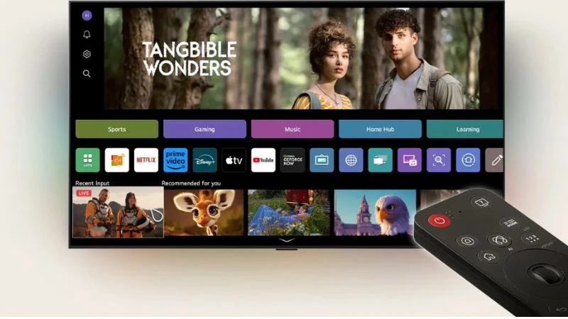 LG Smart Tivi QNED Evo AI MiniLED 4K 65QNED9MASA