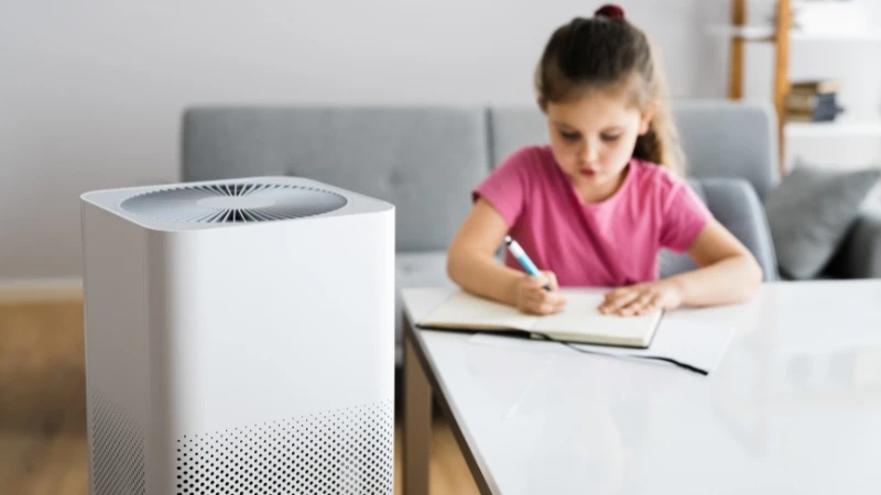 Đa dạng các loại mẫu mã. Đa dạng các loại mẫu mã.