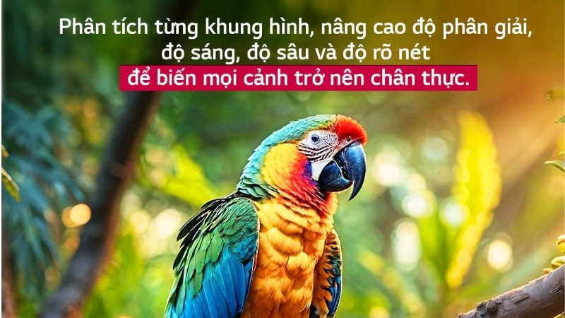 Biến đổi mọi cảnh sắc chân thực.
