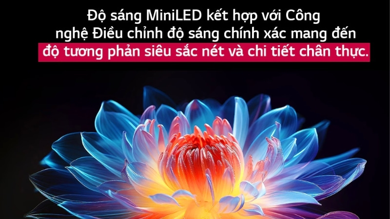 Công nghệ hình ảnh đỉnh cao từ tấm nền QNED và đèn nền MiniLED.