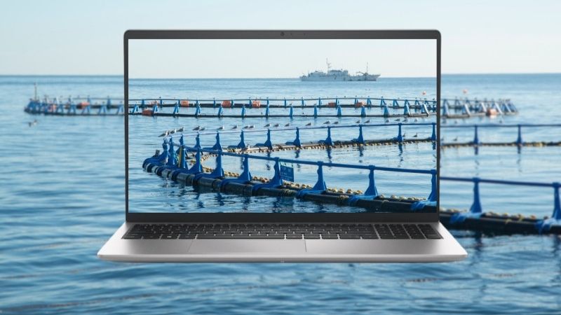 Màn hình 15.6 inch cùng độ phân giải Full HD sắc nét của laptop Dell Inspiron 3530 (N3530-i3U085W11SLU)