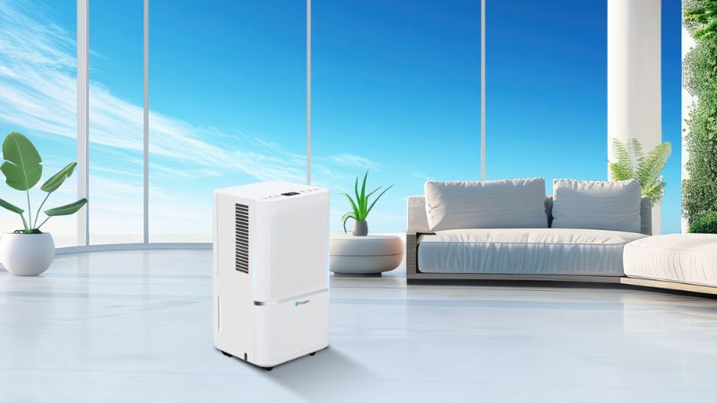 Máy hút ẩm hiệu năng tối ưu Casper.