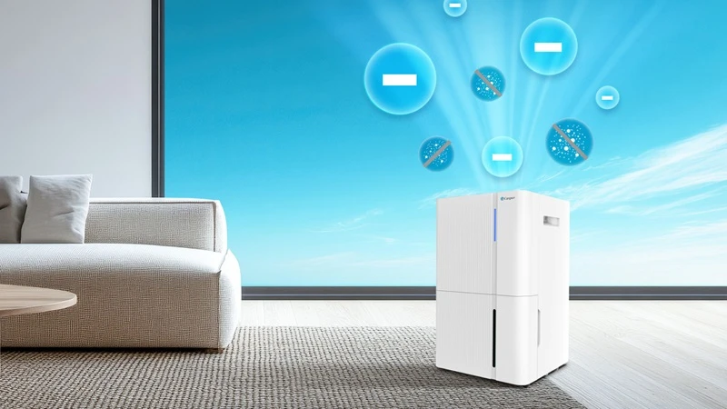 Tính năng lọc không khí và tiện ích mở rộng. Tính năng lọc không khí và tiện ích mở rộng.